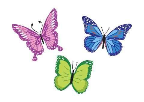 various-colored illustrated butterflies