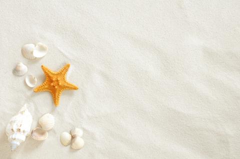 beach sand with seashells