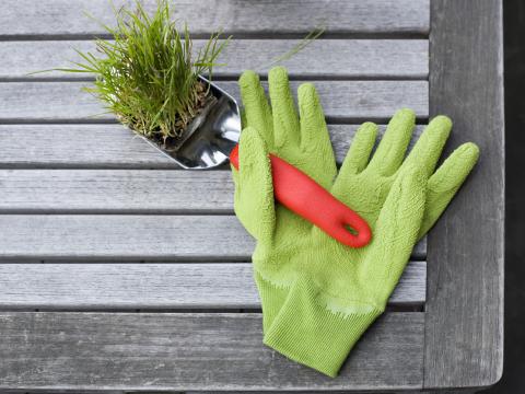 Garden gloves and trowel
