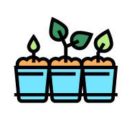 Garden plants in blue pots